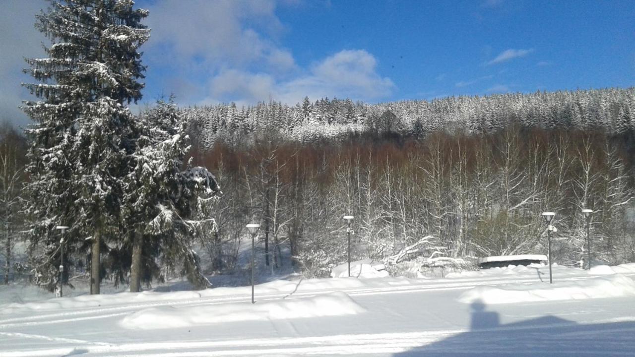 Na Pekarne Lägenhet Železná Ruda Exteriör bild